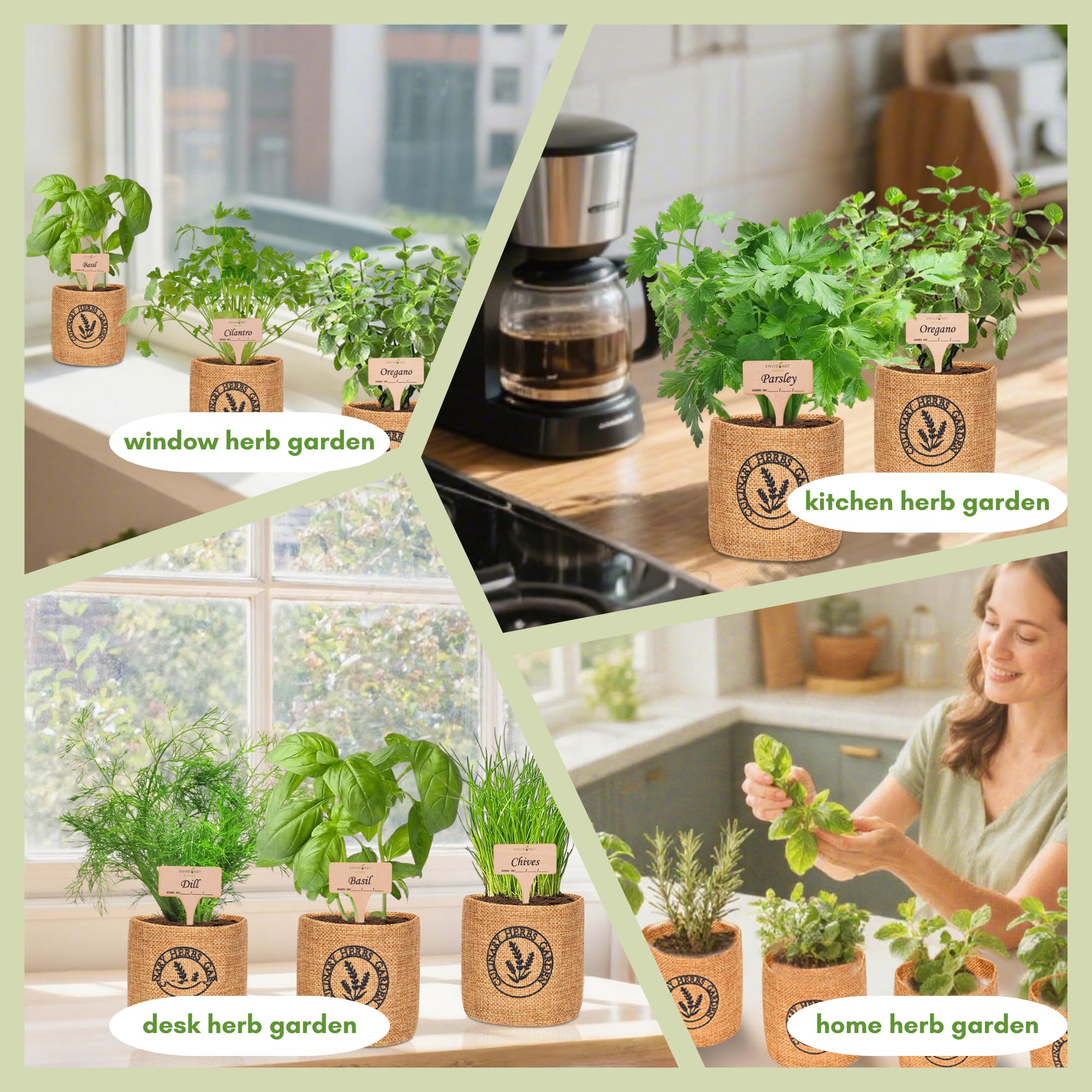 Environet includes a step-by-step guide to help beginners start growing.