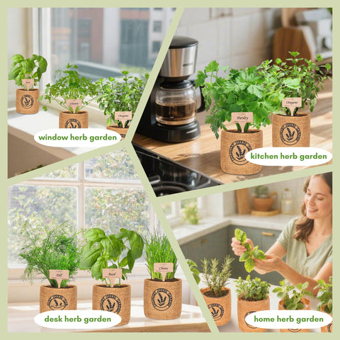 Environet includes a step-by-step guide to help beginners start growing.