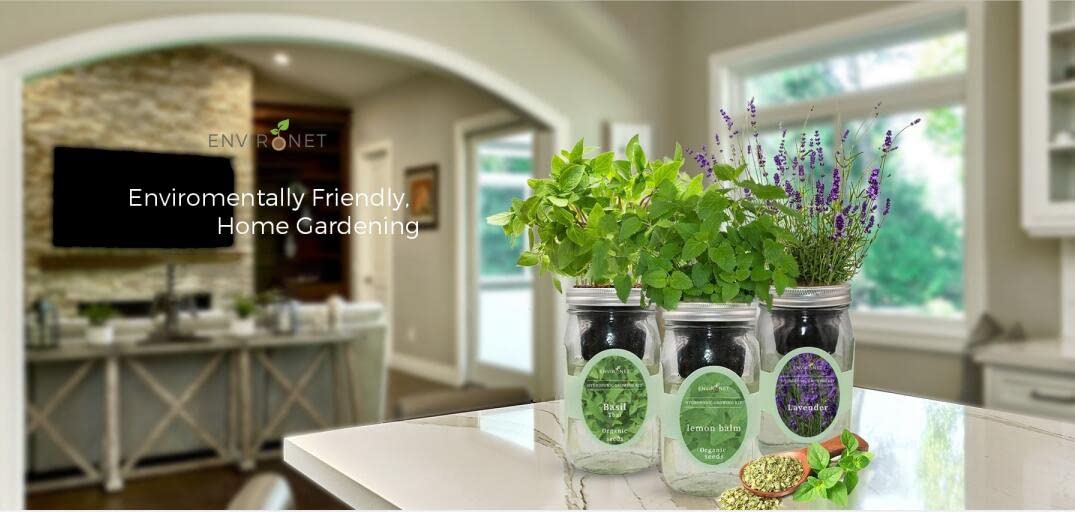 Lavender thriving on a sunny windowsill, delivering fresh aroma and easy harvests