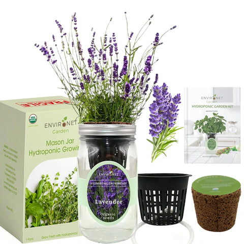 Close-up of the jar and wick illustrating the self-watering system for lavender
