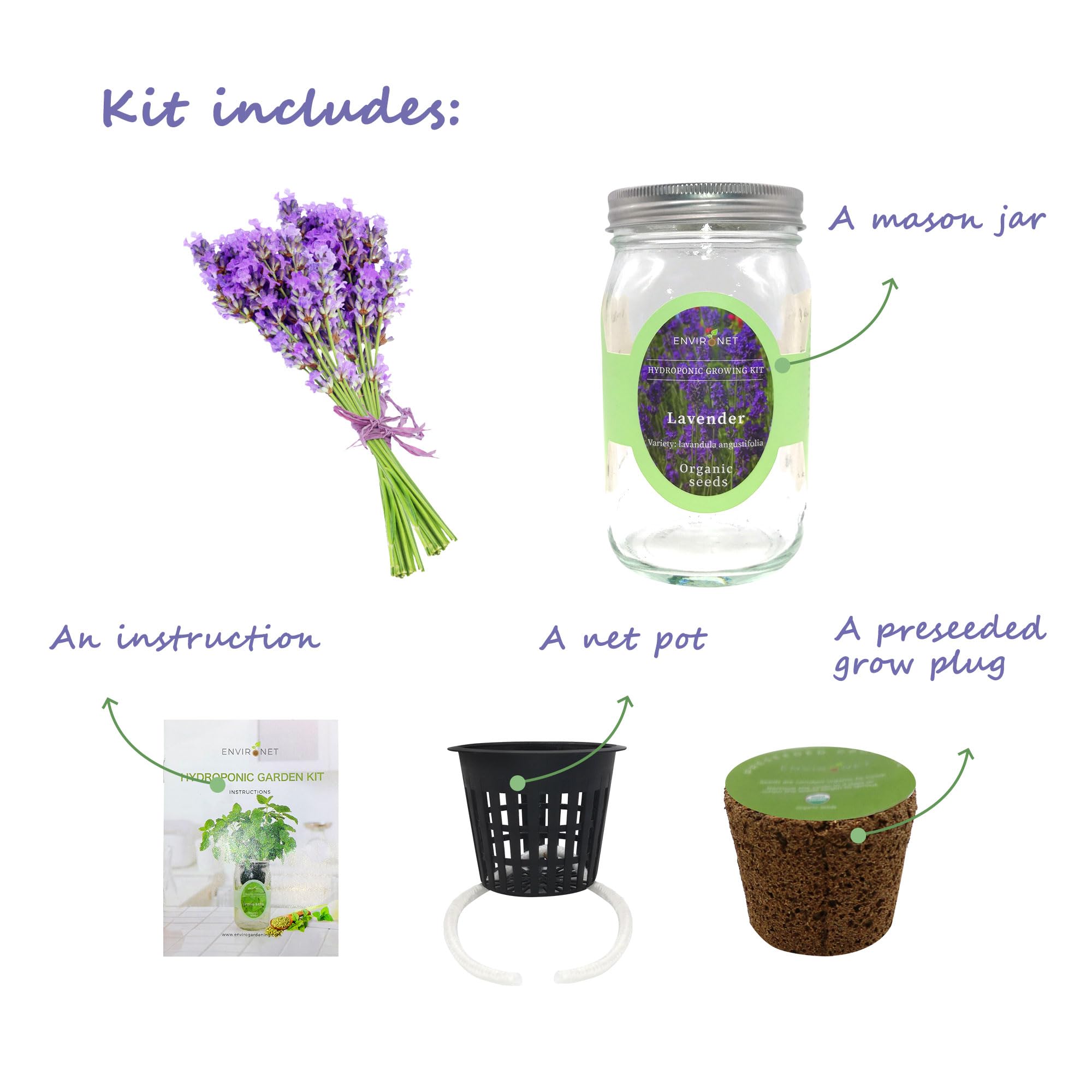 Net pot and grow plug ready to start lavender in a compact indoor hydroponic setup