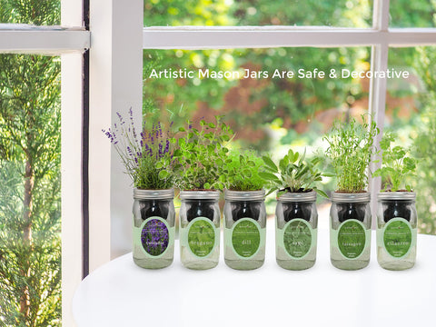 Water jar visible in a compact system supporting steady hydration for lavender