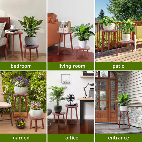 Eocogup heavy duty base supports plants securely with no wobble