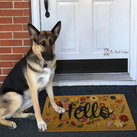 Eohak door mat with non-slip backing keeps entryways steady.
