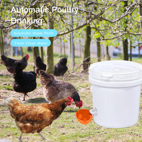 EOKOICA chicken waterer cups PVC material for durable water delivery.