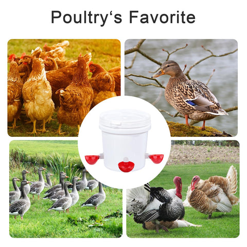 EOKOICA PVC cups are safe, heat and chemical resistant for coop use