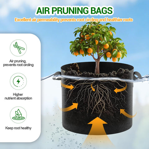 Tomatoes and herbs thriving in EOKOICA grow bags