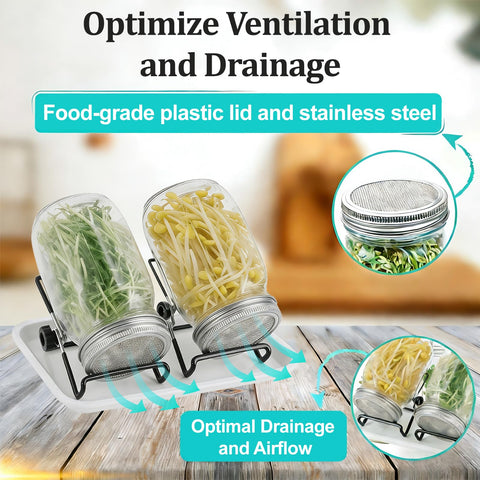 EonCrafted Seed Sprouting Kit stainless-stand provides stable, compact support for jars.