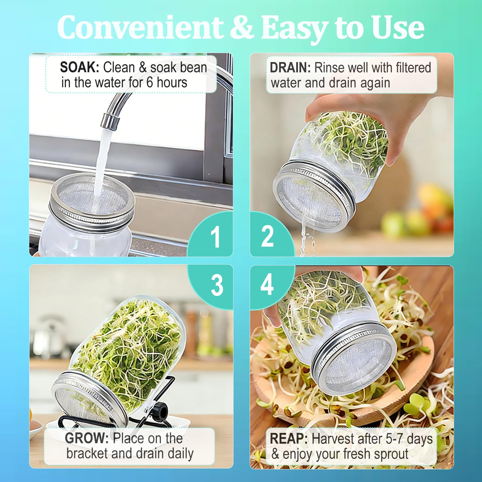 EonCrafted Stainless Steel Stand—stable, durable support for sprouting.