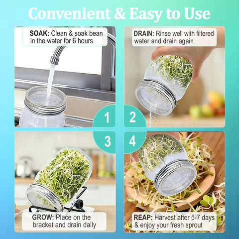 EonCrafted Stainless Steel Stand—stable, durable support for sprouting.
