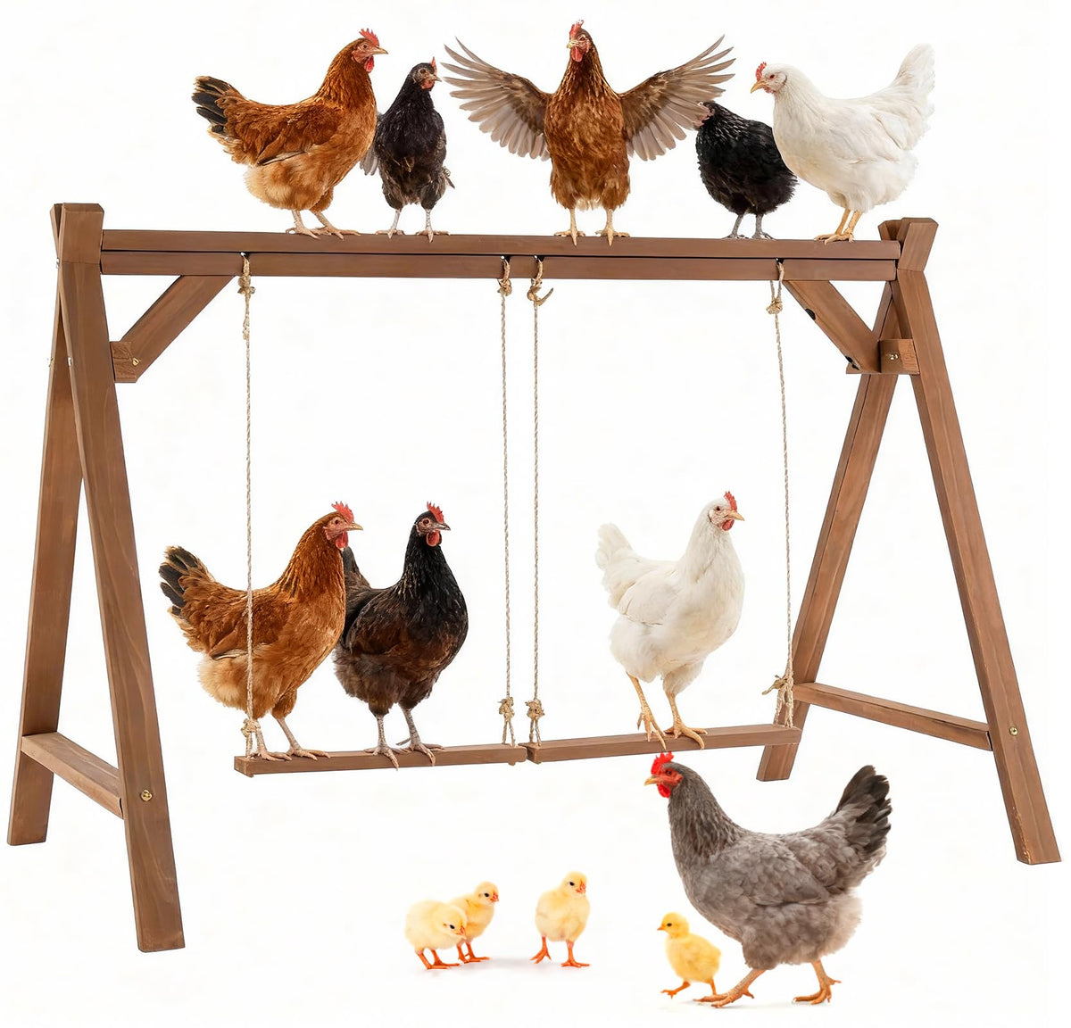 EOWOAN chicken roosting bars offer 50-inch length and two swing perches for larger flocks.