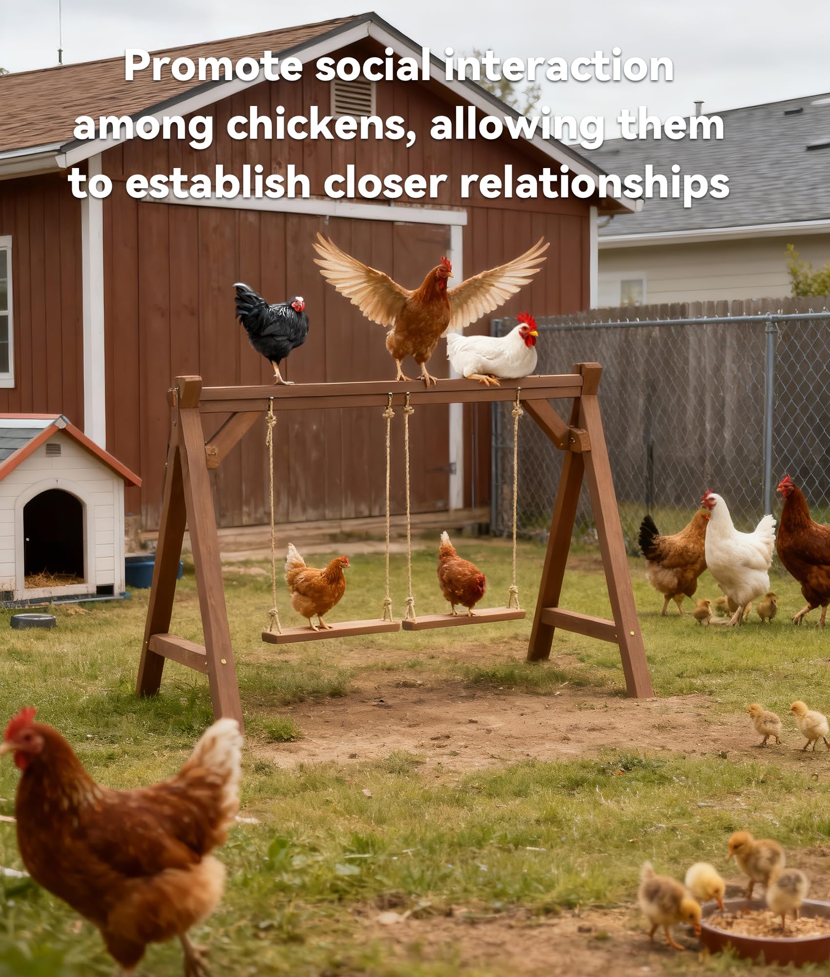 EOWOAN weatherproof fir wood roost withstands sun and rain in the coop.
