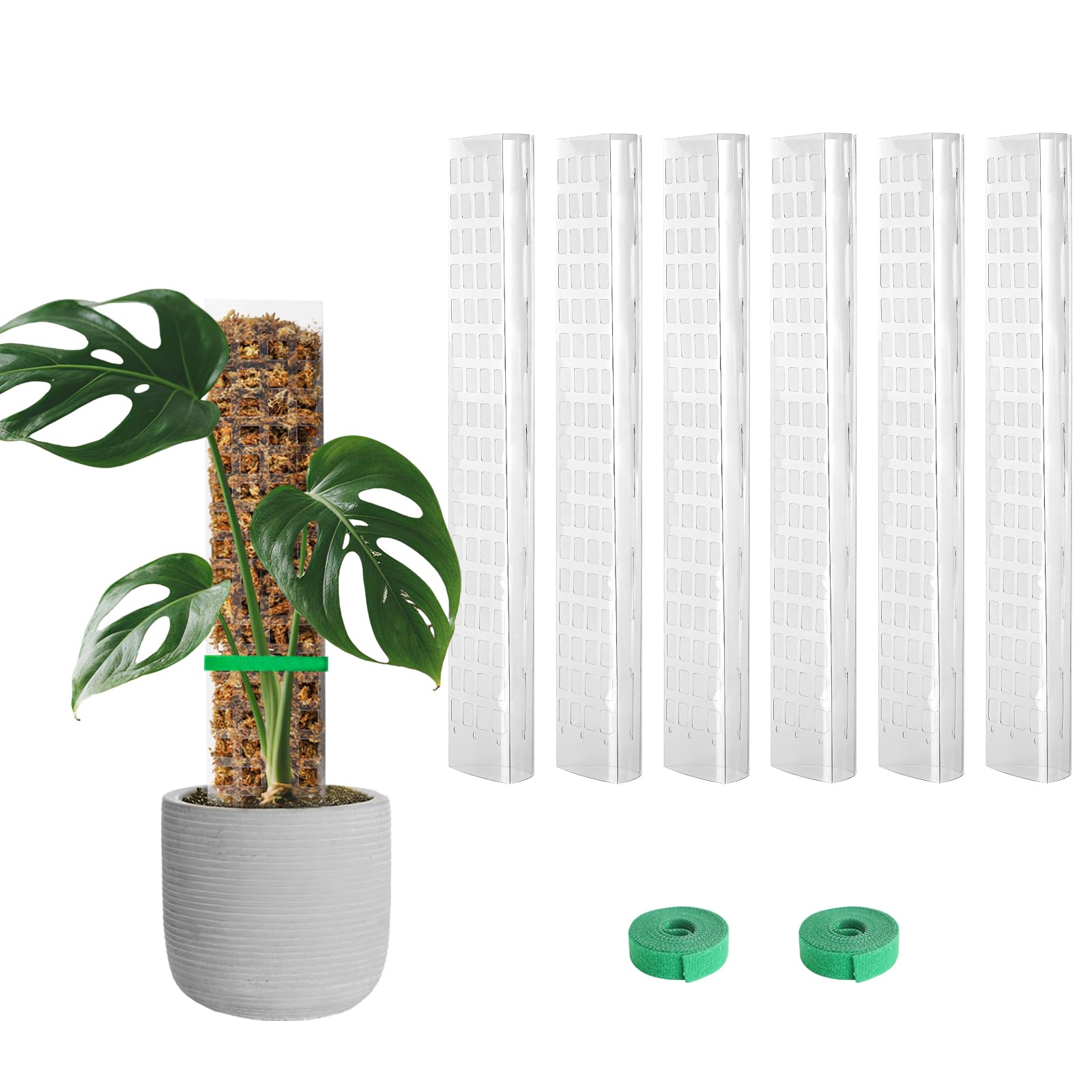 EOX 6-pieces 15-inch moss poles support Monsteras and climbing plants with durable plastic construction.
