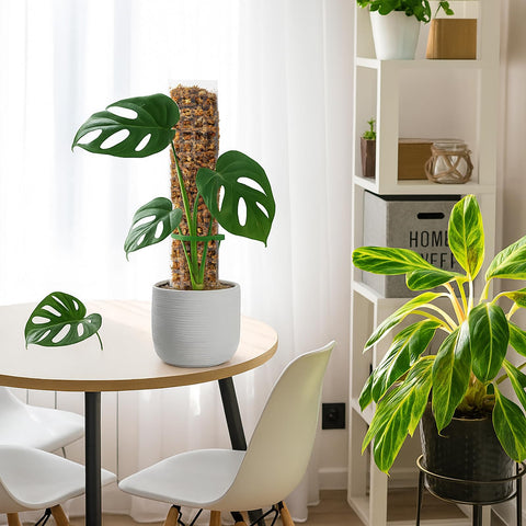 EOX durable plastic shell resists rot for long-term indoor or outdoor use.