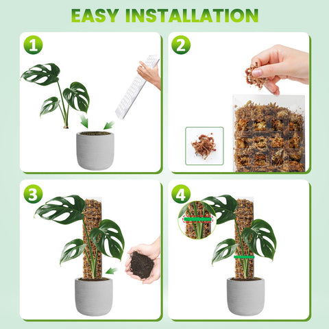 EOX flat D-shaped design increases root contact for sturdier climbers.