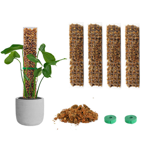 EOX moss pole 15-inch D-shape supports climbing plants for vertical growth