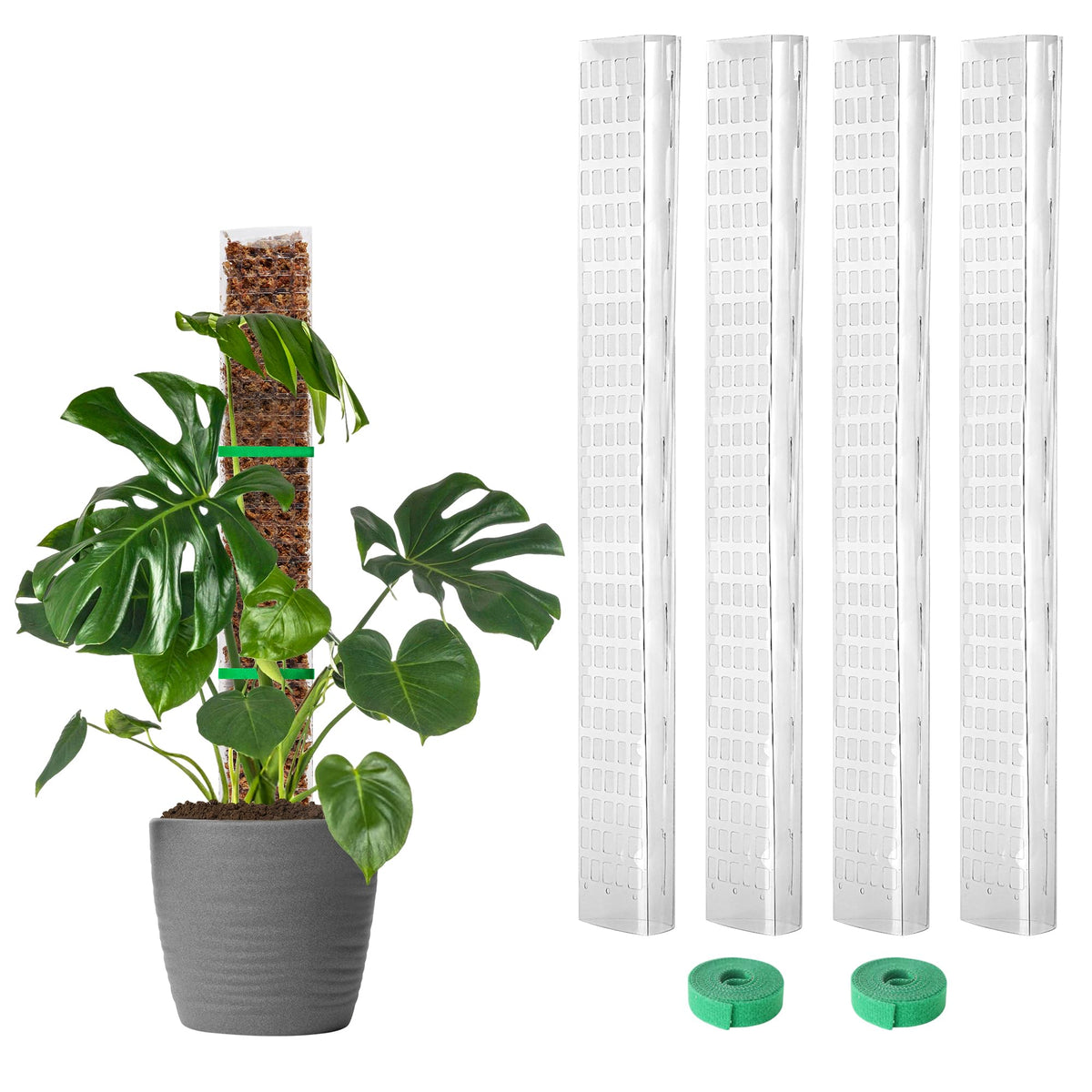 EOX moss pole 24-inch D-shaped supports Monstera growth and aerial roots