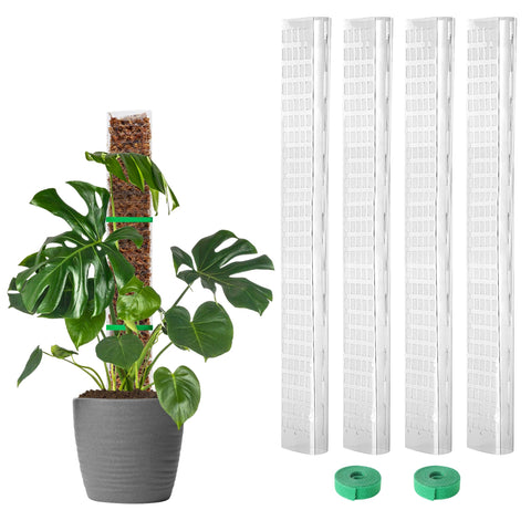 EOX moss pole 24-inch D-shaped supports Monstera growth and aerial roots