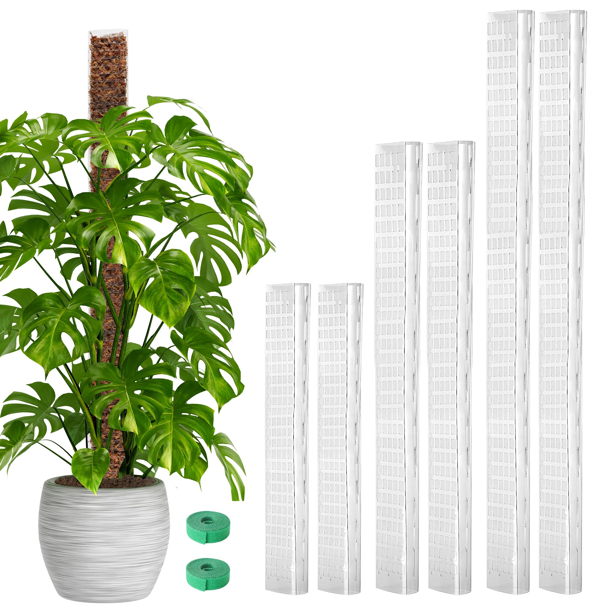 EOX moss pole 24-inch in-pot setup promotes vertical growth for climbing plants.