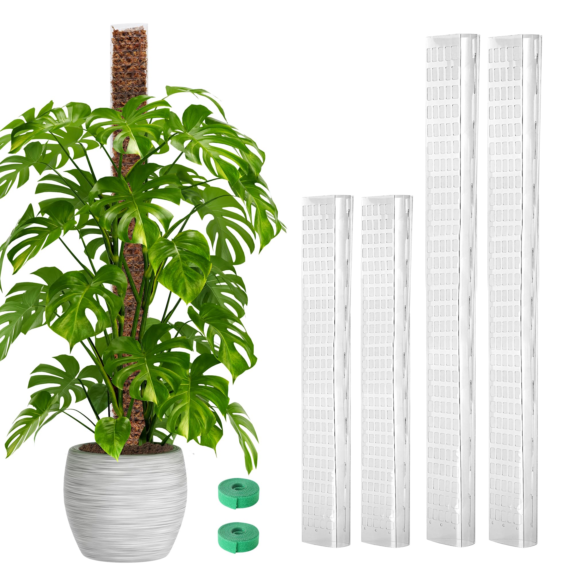 EOX 24in D-shaped moss pole supports Monstera climbing neatly.