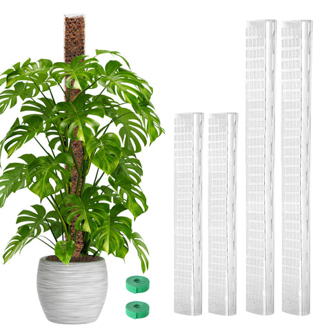 EOX 24in D-shaped moss pole supports Monstera climbing neatly.