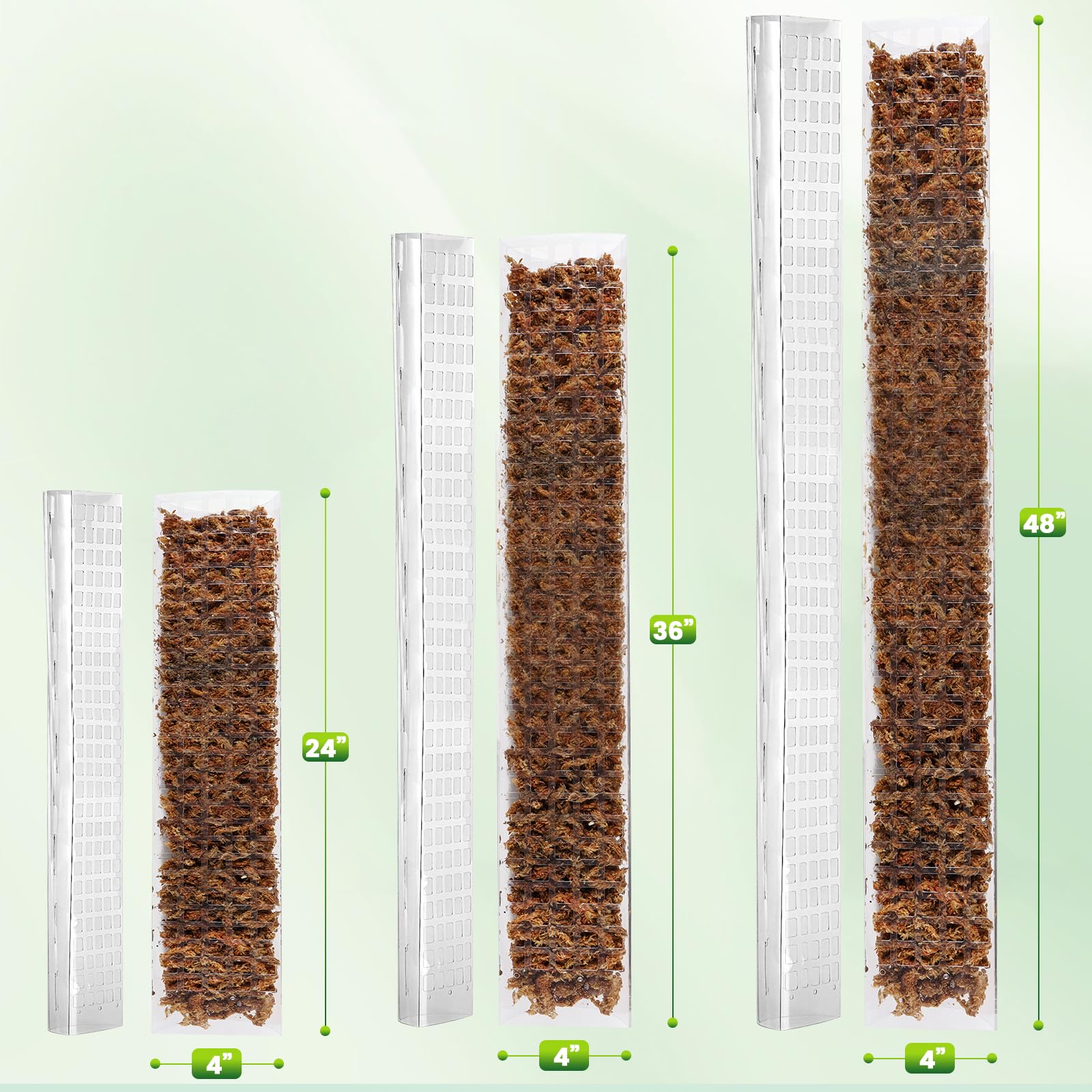 EOX moss pole 36-inch in-pot setup supports larger climbers with sturdy stability.
