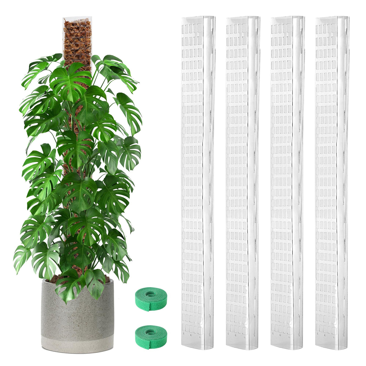 EOX moss pole 36-inch D-shaped in pot supports vertical growth for Monstera