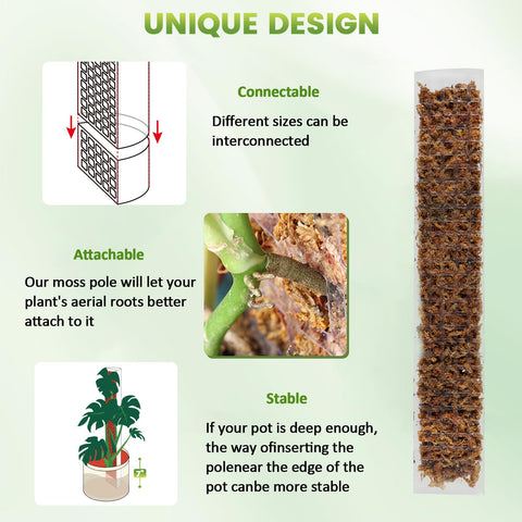 EOX moss pole 48-inch in-pot setup ideal for tall, leafy climbers reaching light.