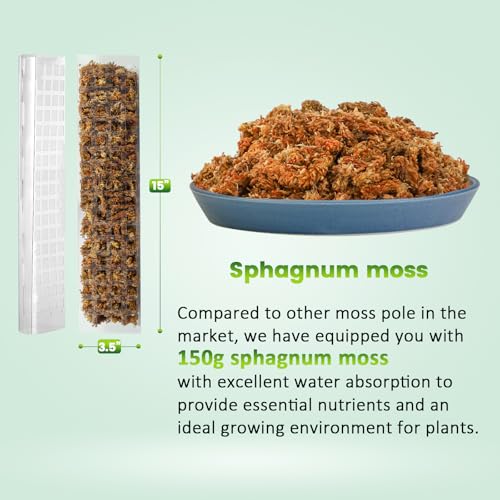 EOX plastic moss pole flat surface shows easy attachment area for roots
