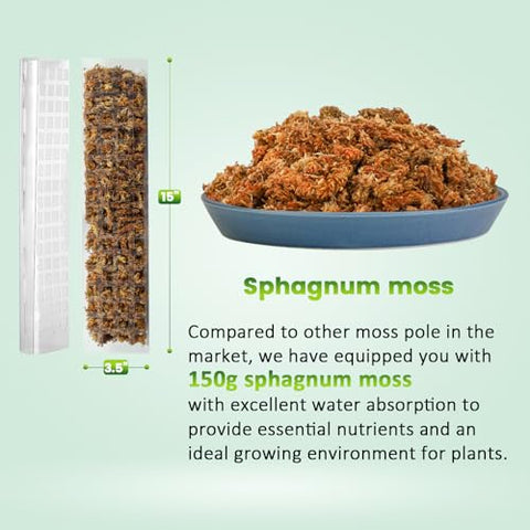 EOX plastic moss pole flat surface shows easy attachment area for roots