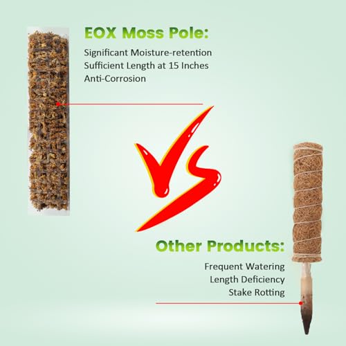 EOX moss pole with fold lines forming D shape for easy setup