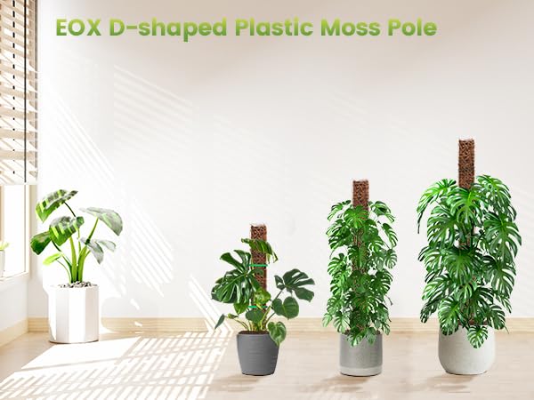 EOX packaging shows ready-to-use moss pole kit for plant lovers.
