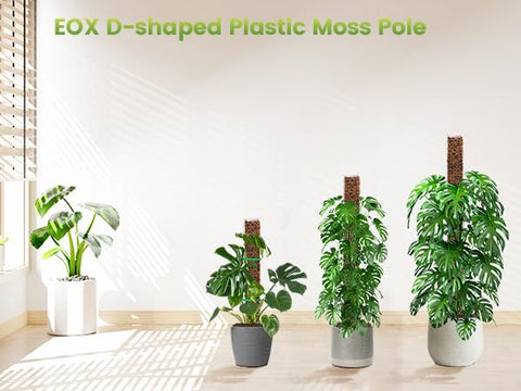EOX packaging shows ready-to-use moss pole kit for plant lovers.