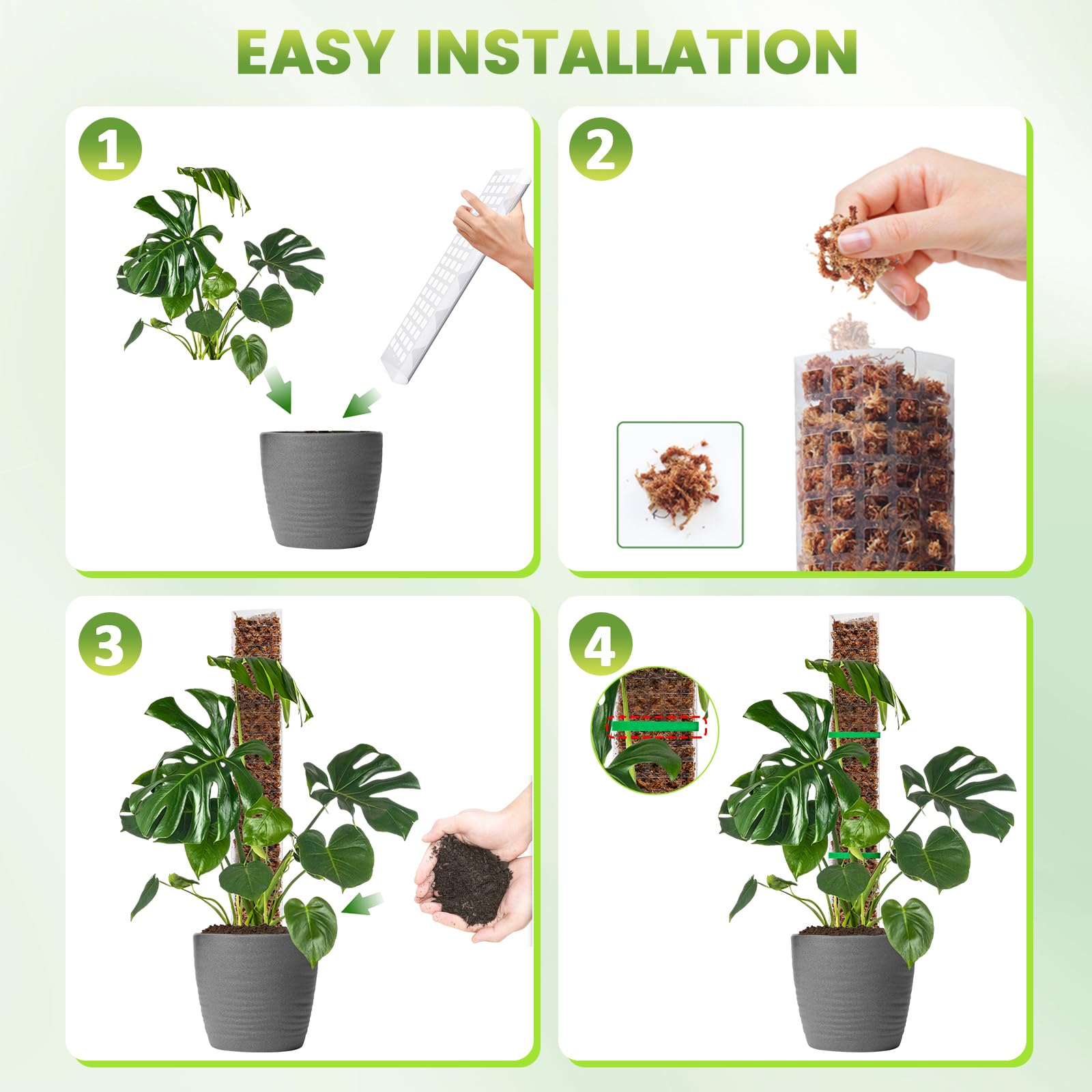 EOX plant stake set of four with garden ties for tidy climbers