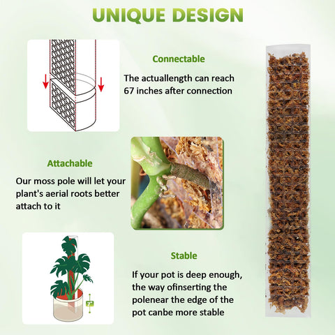 EOX sphagnum moss compatibility for longer moisture retention