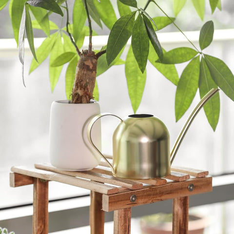 E.Palace gold 30 oz water can ideal for deskside office plants and humidity.