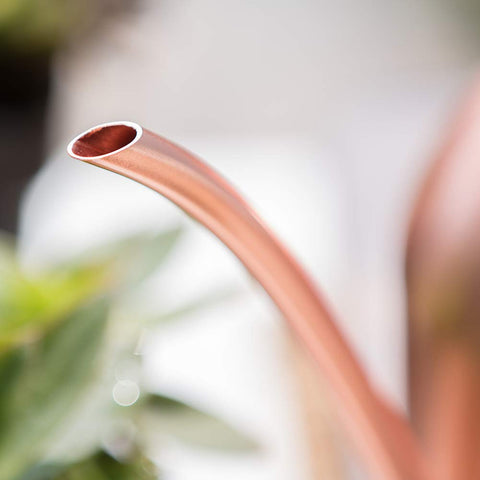 E.Palace precision watering for indoor plants on desks and shelves