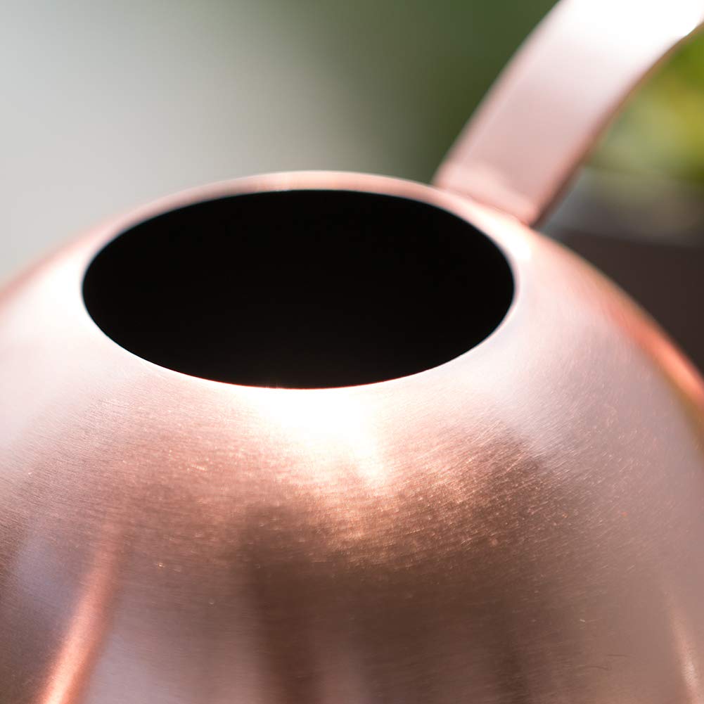 E.Palace rose-gold accent watering can enhances indoor décor while watering