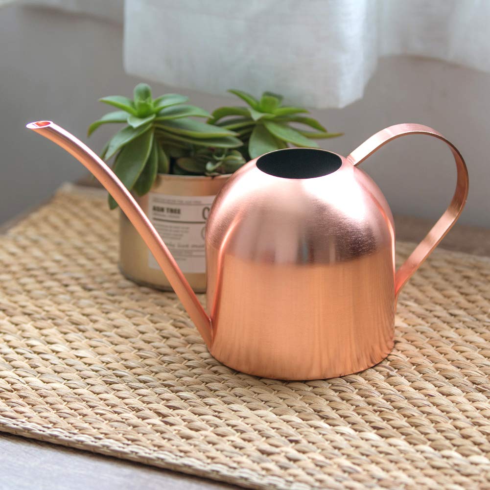 Compact, lightweight watering can suited for small indoor plants on desks