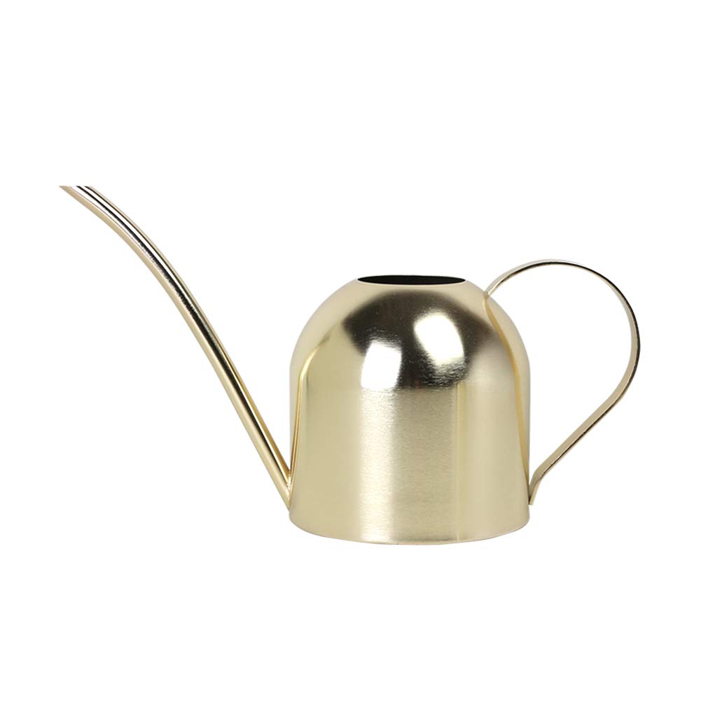 E.Palace stainless steel water can for indoor plants with long spout for precise watering.