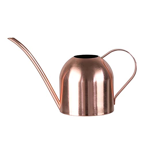 E.Palace stainless steel watering can with long spout for precise indoor plant watering
