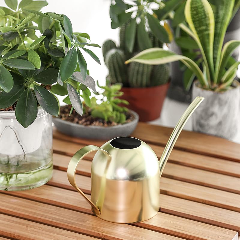 E.Palace compact ergonomic watering can with brushed steel finish.