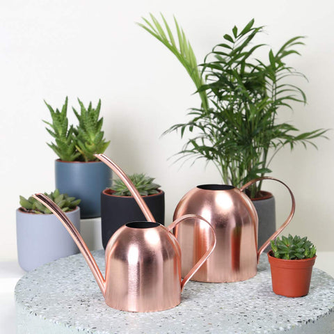 E.Palace ergonomic handle promotes comfortable use during plant care
