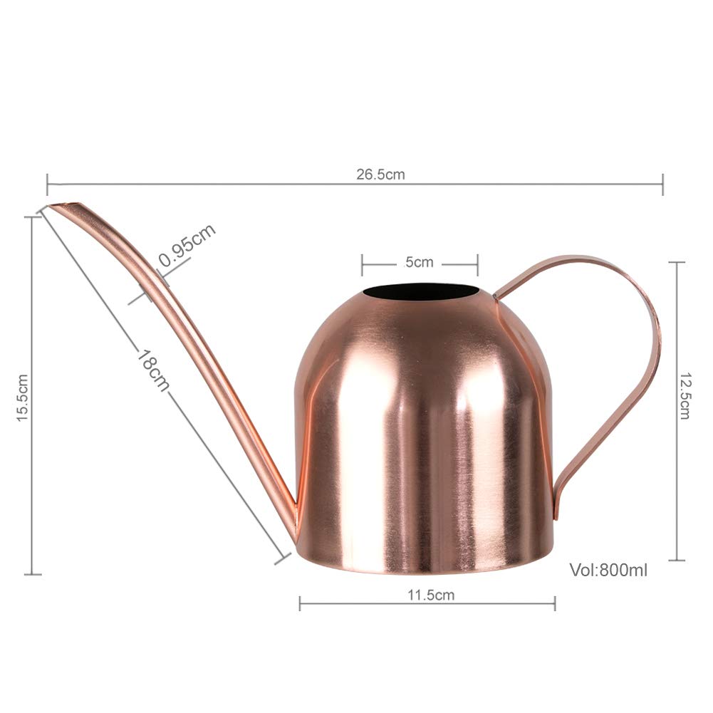 E.Palace rose-gold watering can adds a stylish touch to indoor gardening