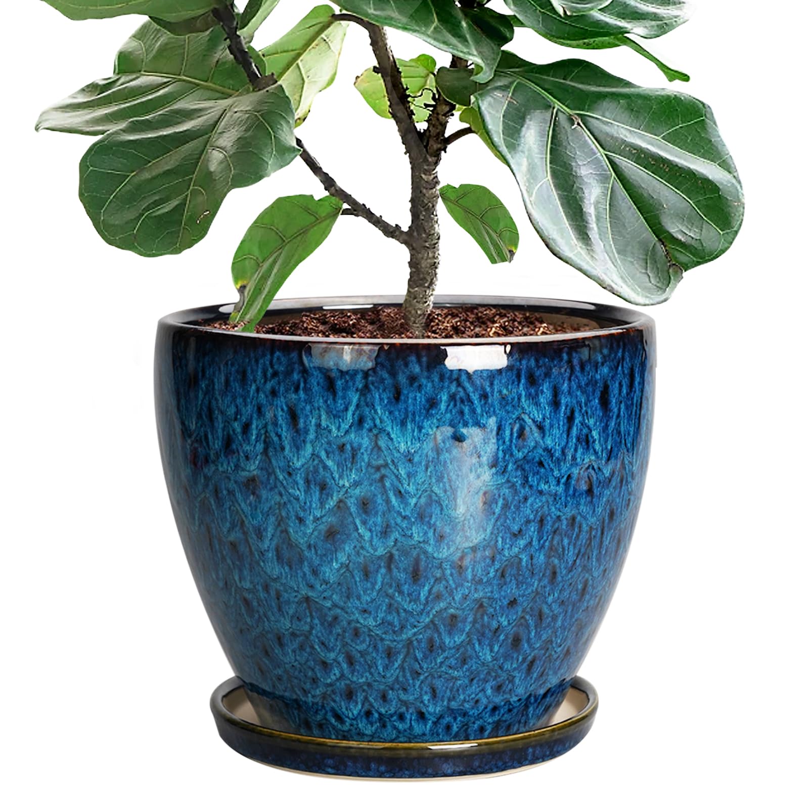 EPFamily 10-inch ceramic planter in blue glaze, ideal for indoor display.