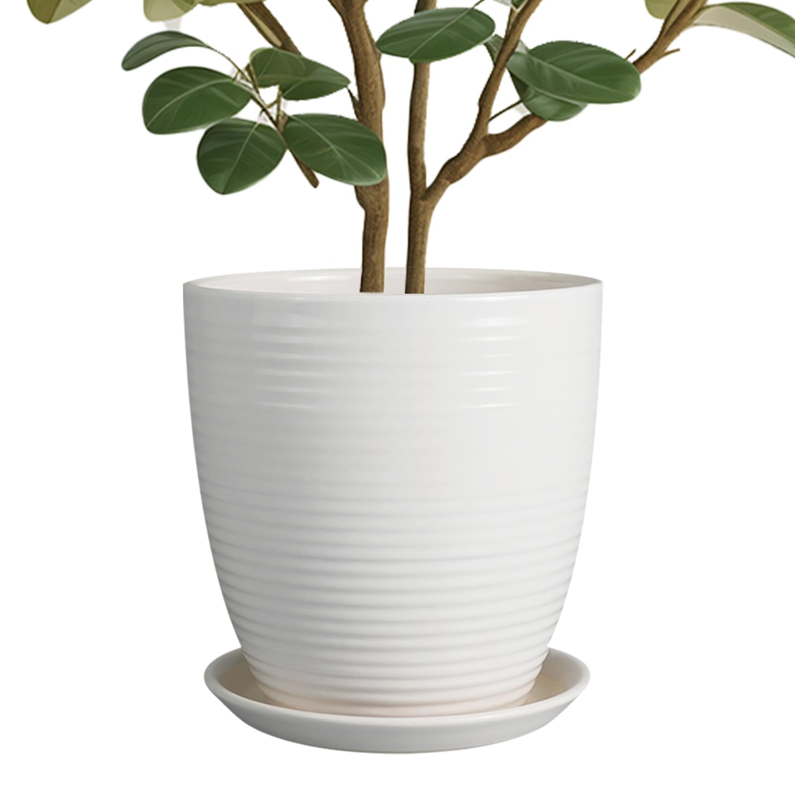 EPFamily 10-inch ceramic planter with glazed fluted design for stylish decor.