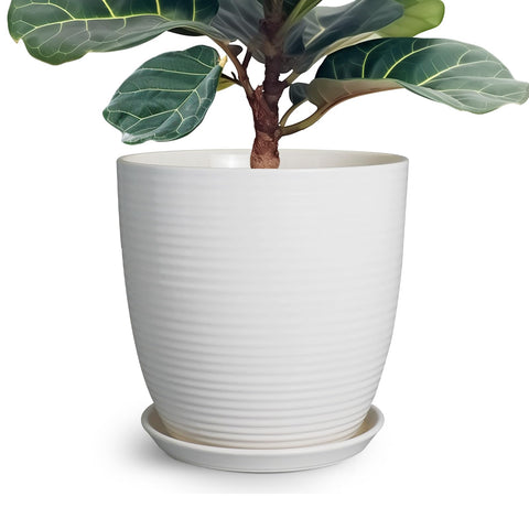 EPFamily 12-inch ceramic planter pot with a white finish for indoor display