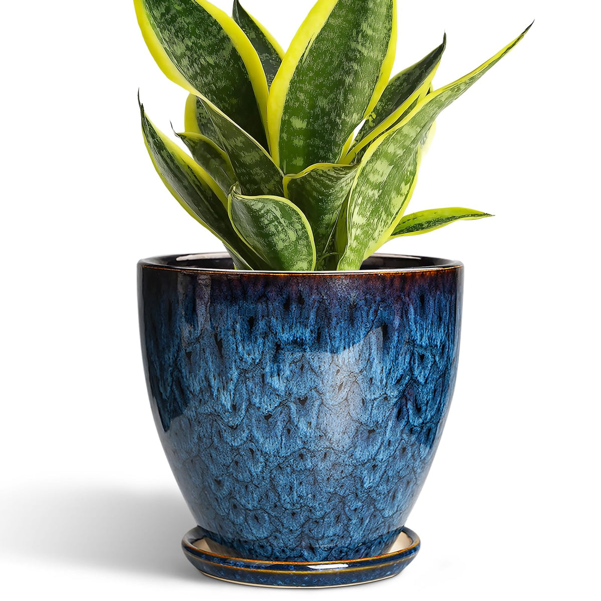 EPFamily 6-Inch ceramic pot with drainage hole and saucer for healthy watering.