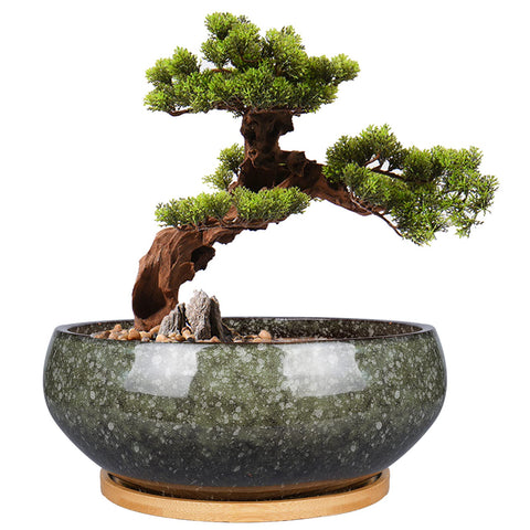 EPFamily 8-Inch ceramic bonsai pot with drainage for healthy indoor plants.