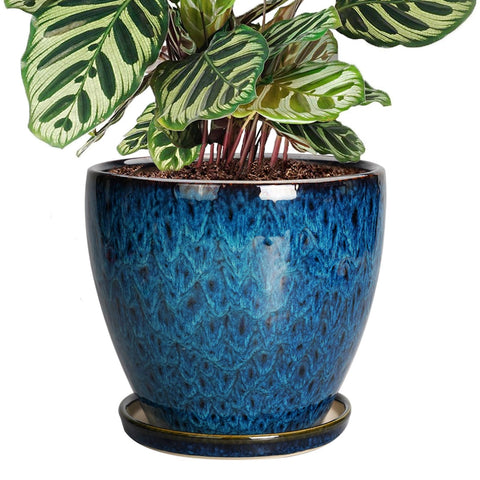 EPFamily 8-inch blue glazed planter with front view for stylish indoor display